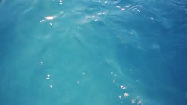 Eau de piscine en plein soleil — Video