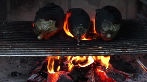 Roosteren aubergines op grill — Stockvideo