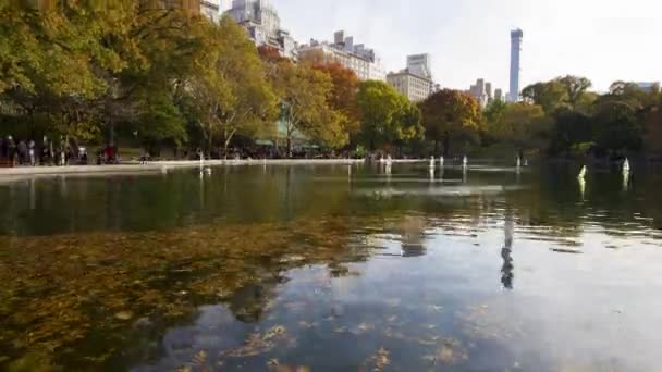 Stuk speelgoed schepen zijn drijvend op het Conservatorium van Water, in Central Park in New York City. Tijd lapse, schoot. Videoclip