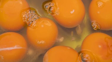 Kasedeki yumurta sarısının arkaplan görüntüsü. Yumurta sarısı.