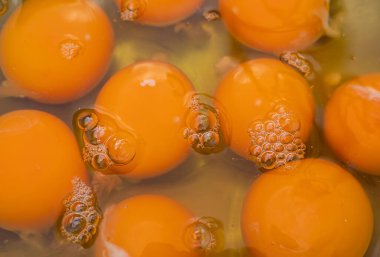 Kasedeki yumurta sarısının arkaplan görüntüsü. Yumurta sarısı.