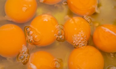 Kasedeki yumurta sarısının arkaplan görüntüsü. Yumurta sarısı.