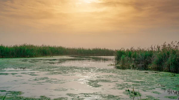 Beautiful nature image of lake near irkaya farm in Doha,Qatar,Qatar