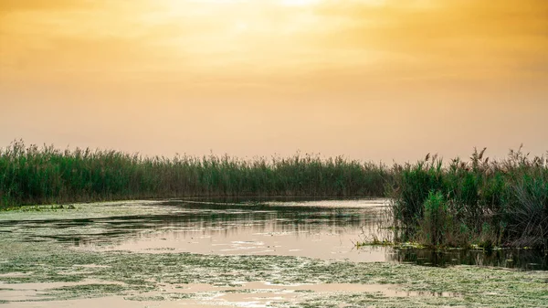 Beautiful nature image of lake near irkaya farm in Doha,Qatar,Qatar