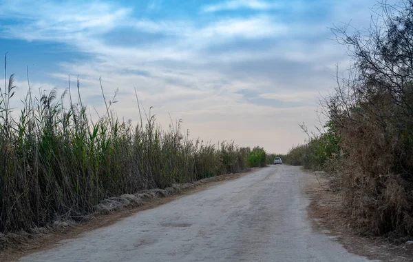 Beautiful nature image of lake near irkaya farm in Doha,Qatar,Qatar