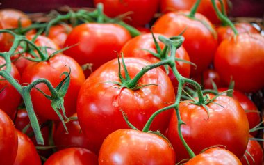 Kırmızı domates arka planı. Bir grup domates.