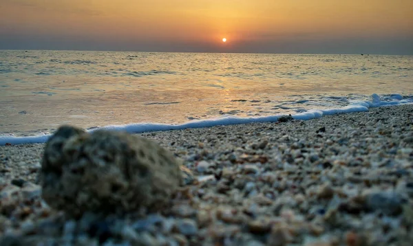 Imagen Fondo Del Hermoso Amanecer Playa Francesa Qatar Con Conchas — Foto de Stock