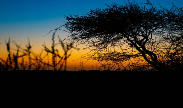 Beautiful Sunset Qatar High Voltage Power Line Towers — Stock Photo, Image