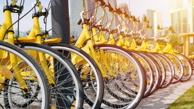 Bisikletler arka arkaya park edilmiş bir parktaki bir bisiklet dükkanında. seçici odak