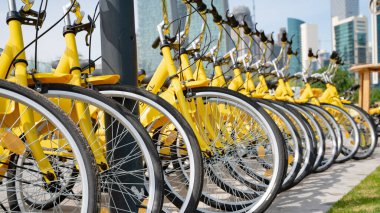 Bisikletler arka arkaya park edilmiş bir parktaki bir bisiklet dükkanında. seçici odak