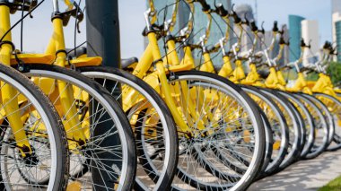 Bisikletler arka arkaya park edilmiş bir parktaki bir bisiklet dükkanında. seçici odak