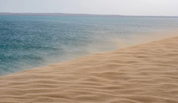 Giornata Ventosa Sulle Dune Sabbia Qatar Focus Selettivo — Foto Stock