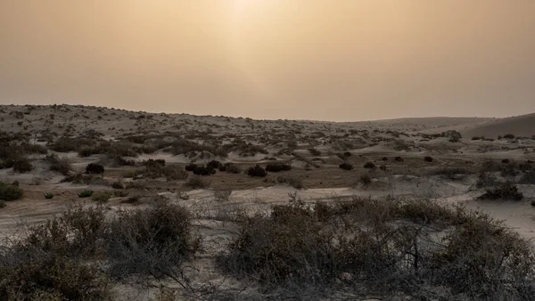 Katar Meereslinie Wüstenlandschaft Während Des Wintertags Sonnenuntergang Selektiver Fokus — Stockfoto