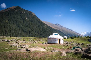 Altyn Arashan, Kırgızistan 10 Temmuz 2025: Göçebe kültürünün sergilendiği dağlarda geleneksel yurt kampı, hissedilmiş çadırlar, dağ manzaraları, yaşam tarzı, otantik Orta Asya turizmi.