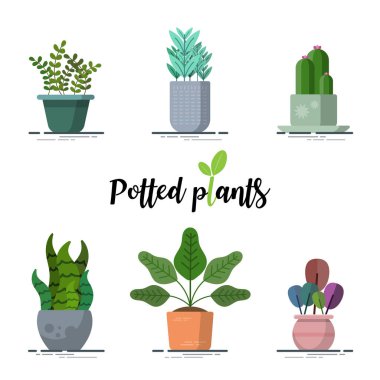 Tasarımcılar için her türden renkli saksı bitkisi koleksiyonu. Kullanımı kolay ve son derece kişiselleştirilebilir. birçok amaçla kullanılabilen güzel ve modern element Eps10 vektörü.
