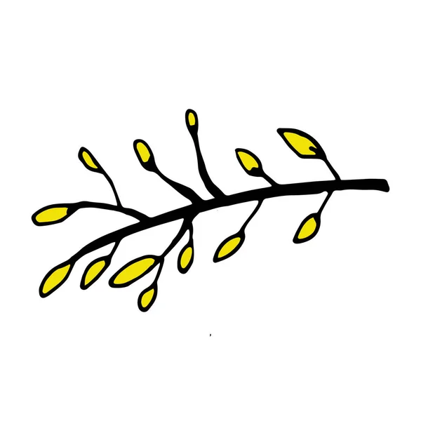 春の蕾を持つ枝 — ストックベクタ