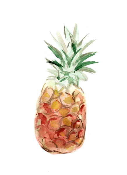 Akwarela Kolorowe Ilustracja Ananas — Zdjęcie stockowe