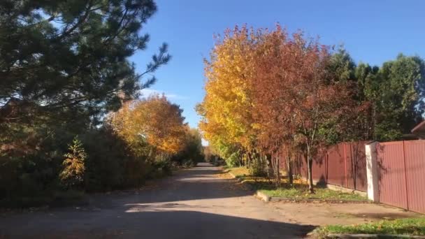 Een heldere dag, een straat met gele bomen en een omheining op een privéterrein. Verharde weg, een witte auto passeert in de verte. Herfst landschap landschap. — Stockvideo
