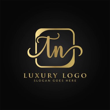 İlk TN harfi Logo Tasarım Şablonu. Soyut Lüks Mektup TN logo Tasarımı