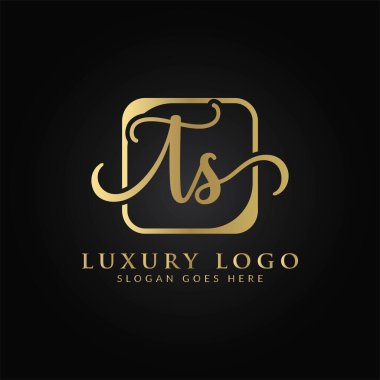 TS harfinin baş harfi Logo Tasarım Şablonu. Soyut Lüks Mektup TS logo tasarımı