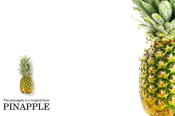 Diseño Creativo Piña Con Texto Muestra Concepto Frutas Tropicales Piña — Foto de Stock