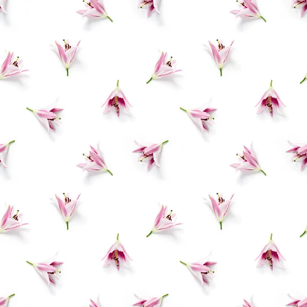 seamless pattern of pink Lily flower bloom. Pink lily flowers over white background seamless texture. flat lay flower pattern