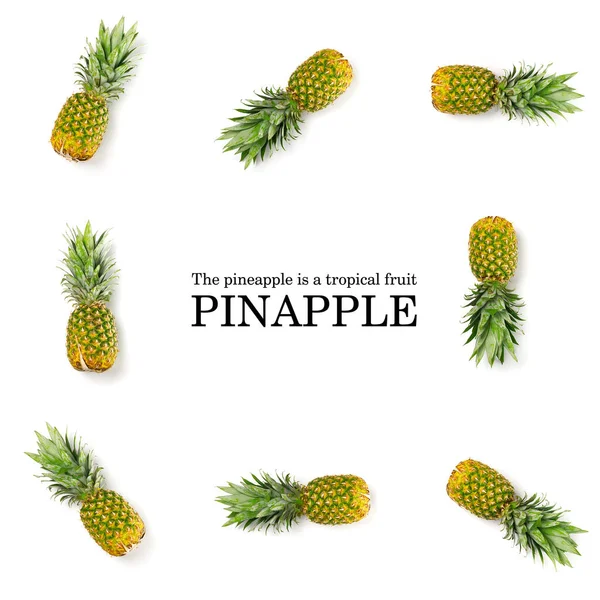 Diseño Creativo Piña Con Texto Muestra Concepto Frutas Tropicales Piña — Foto de Stock