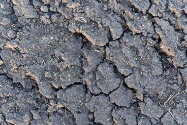 Kuru toprağa yakın çekim. Toprağın çatlamış dokusu. Kuraklıkta toprak, toprak dokusu ve kuru çamur, kuru toprak. en üstteki görünüm