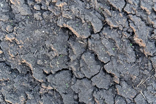 Closeup of dry soil. Cracked texture of ground. Ground in drought, Soil texture and dry mud, Dry land. top view