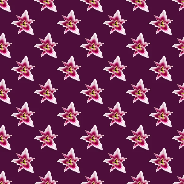Nahtloses Muster Aus Rosa Lilienblüten Rosa Lilienblüten Auf Rosa Hintergrund — Stockfoto