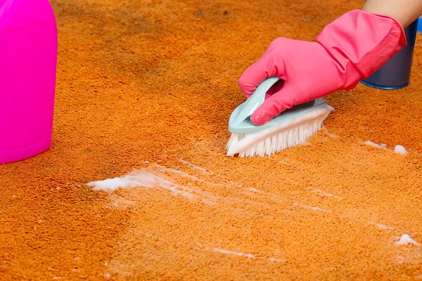 Woman Hand Cleaning Stain On Carpet With hard brush. close up of Orange carpet wet cleaning. carpet cleaning service concept