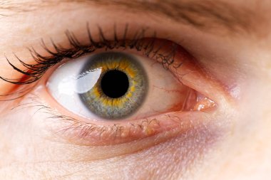 Kadın makro göz. İnsan gözünün makro fotoğrafçılığı