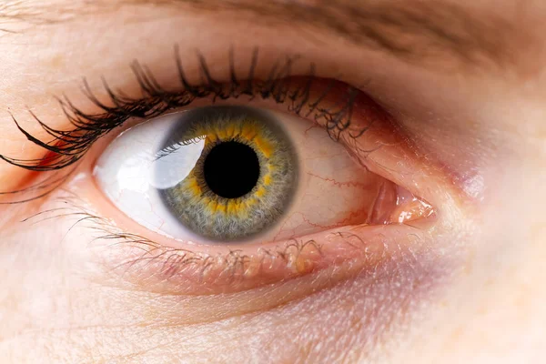Vrouwelijk macro-oog. macro fotografie van het menselijk oog — Stockfoto