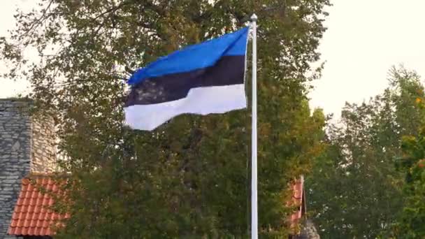 Bandera de Estonia, Bandera de Estonia ondeando en el viento entre los árboles — Vídeo de stock