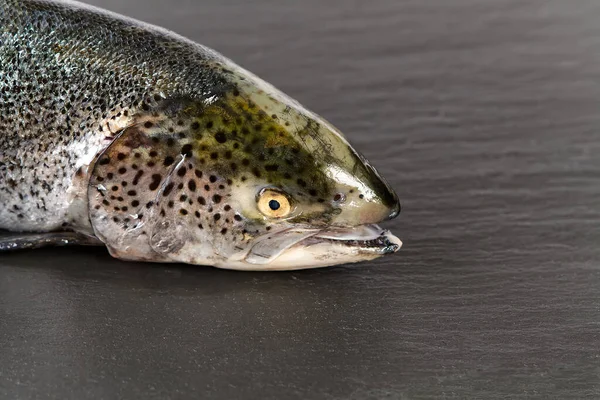 Salmón orgánico fresco crudo una pizarra oscura, piedra. — Foto de Stock