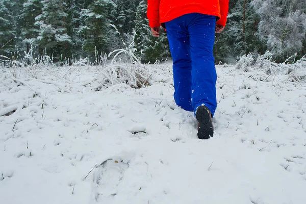 Kış ormanlarında yürüyüş yapan bir adam yürüyüş ayakkabısı botlarıyla kar altında. Kış yürüyüşü.