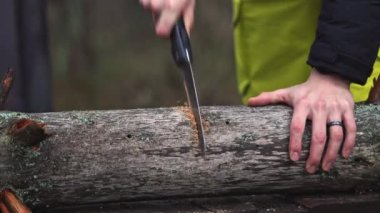 Ormanda kamp ateşi için el testeresiyle odun kesen bir adam. Doğada kamp ateşi yakmak için kereste kesen adam..