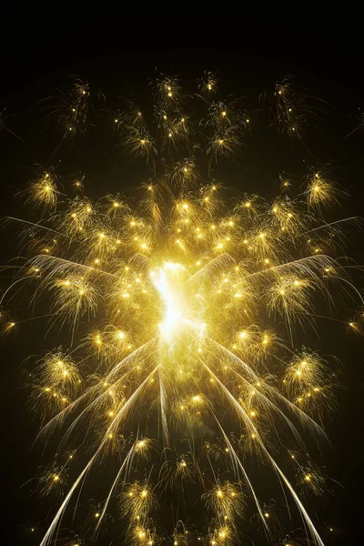 Fourth of July Firework. wonderful fireworks, close up. Fireworks at christmas night — Stock Photo, Image