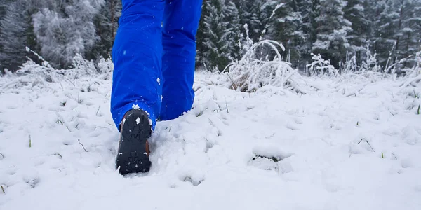 man hiking in winter forest by snow in hiking shoes boots. Winter hiking concept.