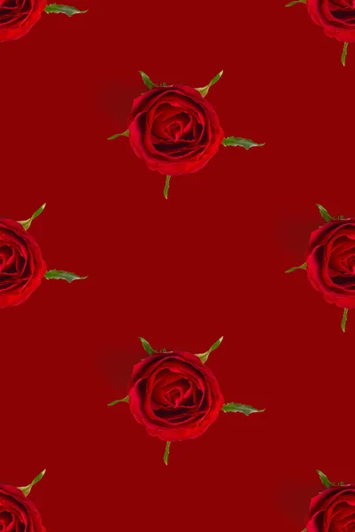 Wzór pąka róży bez szwu. głowa kwiat róży odizolowany na czerwonym wzorze, pop art — Zdjęcie stockowe