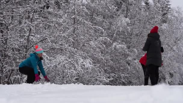 Schneeballschlacht zwischen Freunden. Familie verbringt Urlaub im Winterwald, spielt mit Schnee — Stockvideo