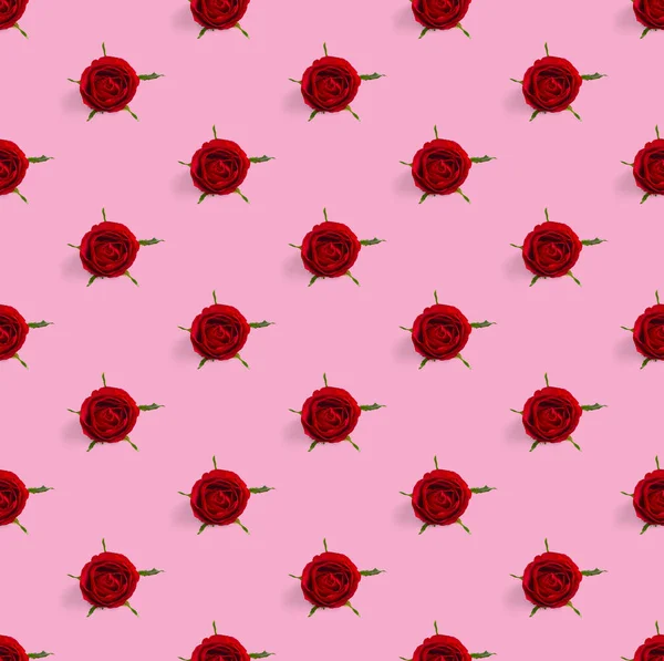 玫瑰花蕾无缝图案。玫瑰头状花序，粉红色花纹，流行艺术 — 图库照片