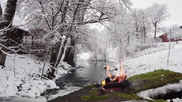 Ζεστή φωτιά στην όχθη του ποταμού κατά τη χειμερινή ημέρα. μικρή ζεστή φωτιά το χειμώνα. — Αρχείο Βίντεο