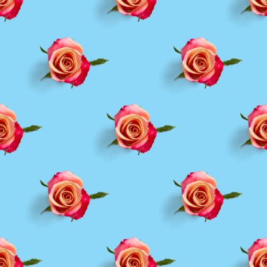 Gül goncası pürüzsüz desen. Gül çiçeğinin başı mavi desenle izole edilmiş, pop sanatı.