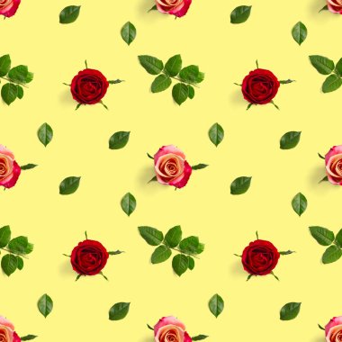 Gül tomurcuğu pürüzsüz desen. Gül çiçeğinin başı sarı desende izole edilmiş, pop sanatı.