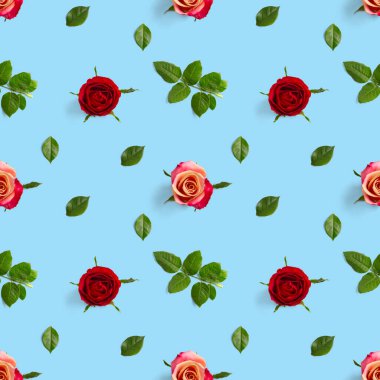 Gül goncası pürüzsüz desen. Gül çiçeğinin başı mavi desenle izole edilmiş, pop sanatı.