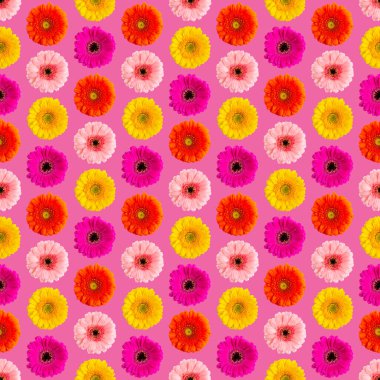 Beyaz bir Germini fotoğrafında pürüzsüz bir Gerbera deseni, pürüzsüz bir desene dönüştü.