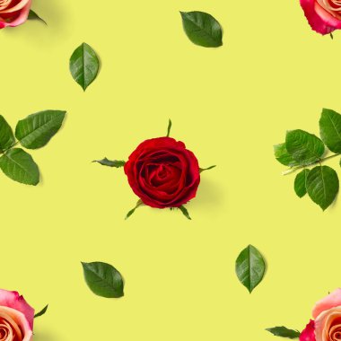 Gül goncası kusursuz desen. Yeşil desenle izole edilmiş gül çiçeği başkanı, pop art