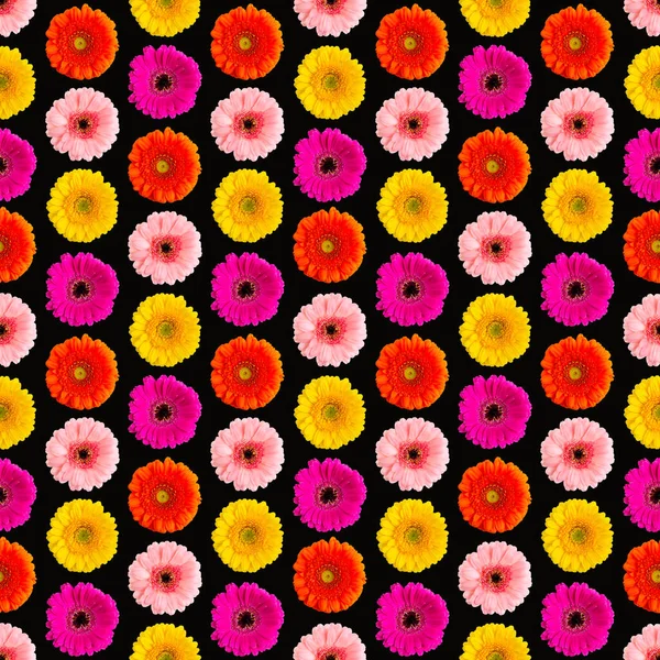 Beyaz bir Germini fotoğrafında pürüzsüz bir Gerbera deseni, pürüzsüz bir desene dönüştü.