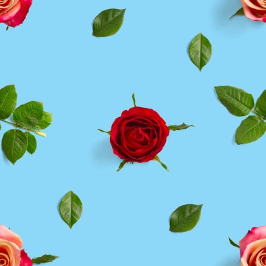 Gül goncası pürüzsüz desen. Gül çiçeğinin başı mavi desenle izole edilmiş, pop sanatı.